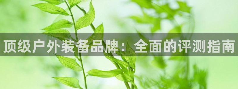 必一体育网页登录版官网